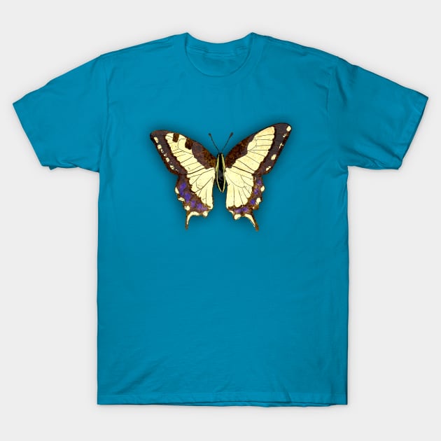 Bugs-8 Papilio Machaon T-Shirt by Komigato